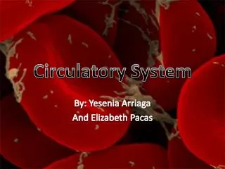 Circulatory System