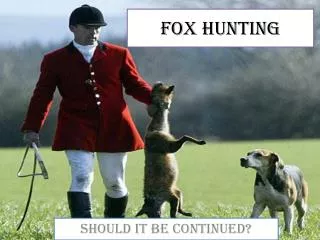 Fox Hunting