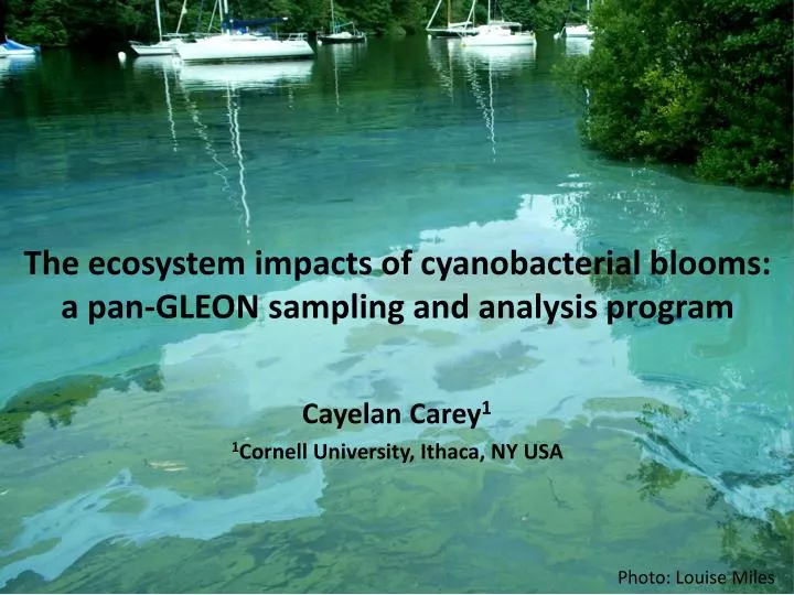the ecosystem impacts of cyanobacterial blooms a pan gleon sampling and analysis program
