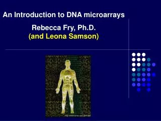 An Introduction to DNA microarrays Rebecca Fry, Ph.D. (and Leona Samson)