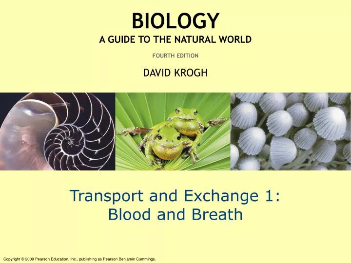 transport and exchange 1 blood and breath