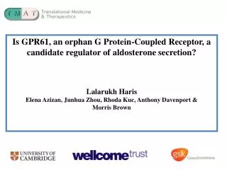 Is GPR61, an orphan G Protein-Coupled Receptor, a candidate regulator of aldosterone secretion?