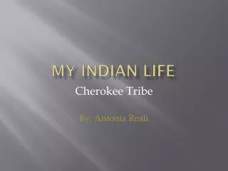 My Indian Life