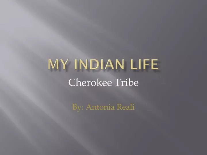 my indian life