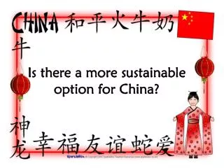 Is there a more sustainable option for China?
