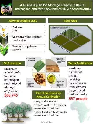 A business plan for Moringa oleifera in Benin: