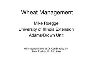 Wheat Management