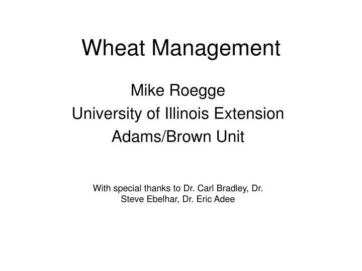 wheat management