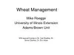 Wheat Management - slide 1