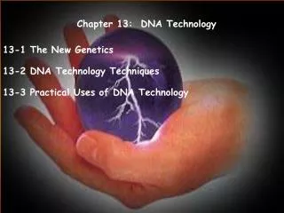 Chapter 13: DNA Technology