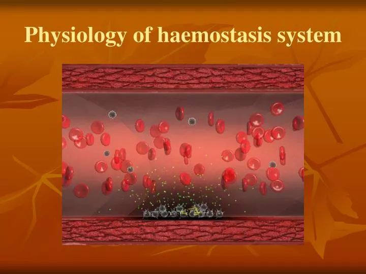physiology of haemostasis system