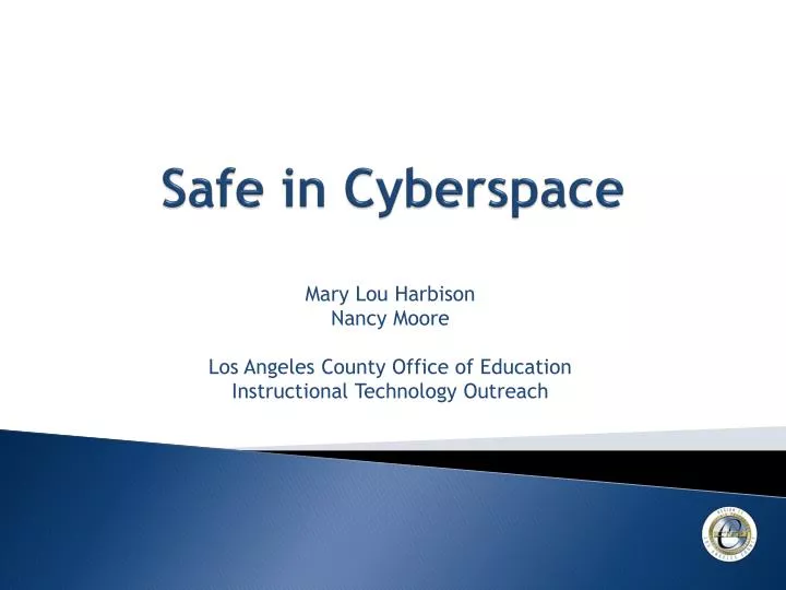 safe in cyberspace