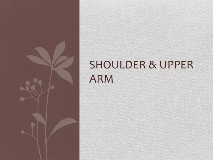 shoulder upper arm