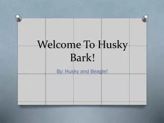 Welcome To Husky Bark!