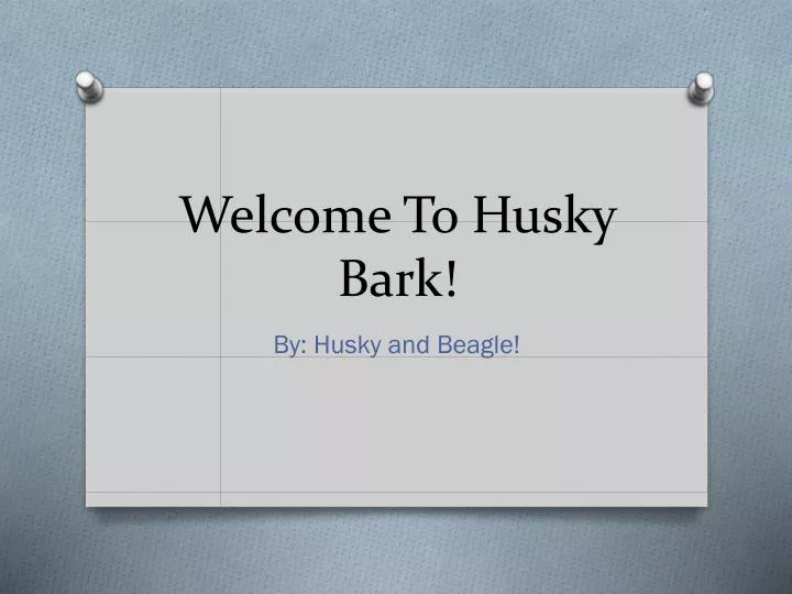 welcome to husky bark