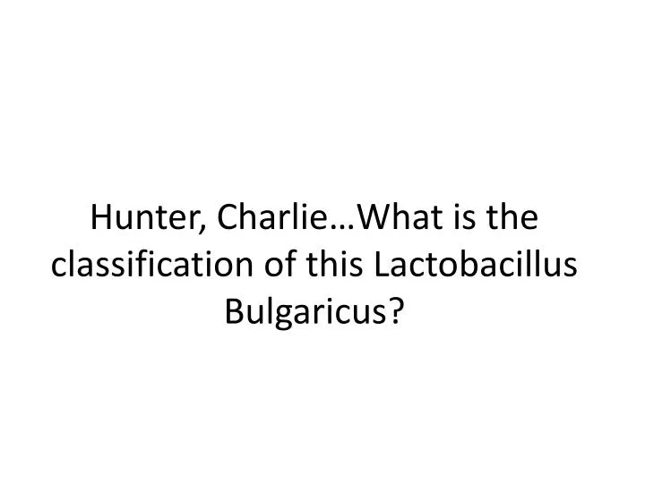 hunter charlie what is the classification of this lactobacillus bulgaricus