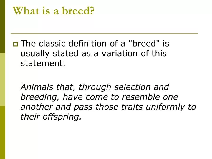 what is a breed