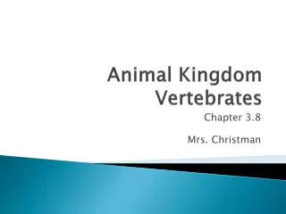 Animal Kingdom Vertebrates