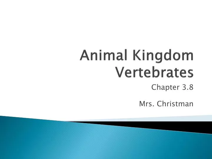 animal kingdom vertebrates