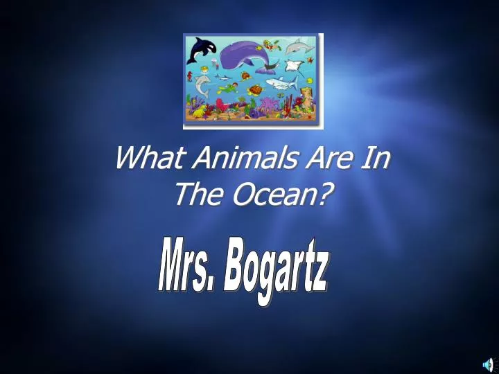 what animals are in the ocean