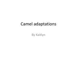 Camel adaptations