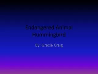 Endangered Animal Hummingbird