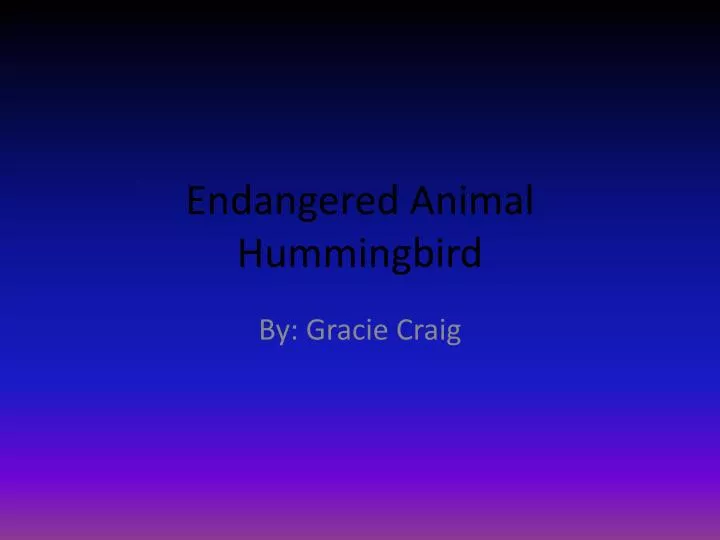 endangered animal hummingbird