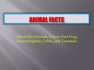 Animal Facts