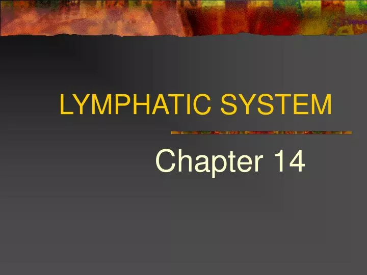 lymphatic system