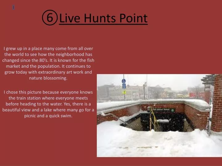 live hunts point