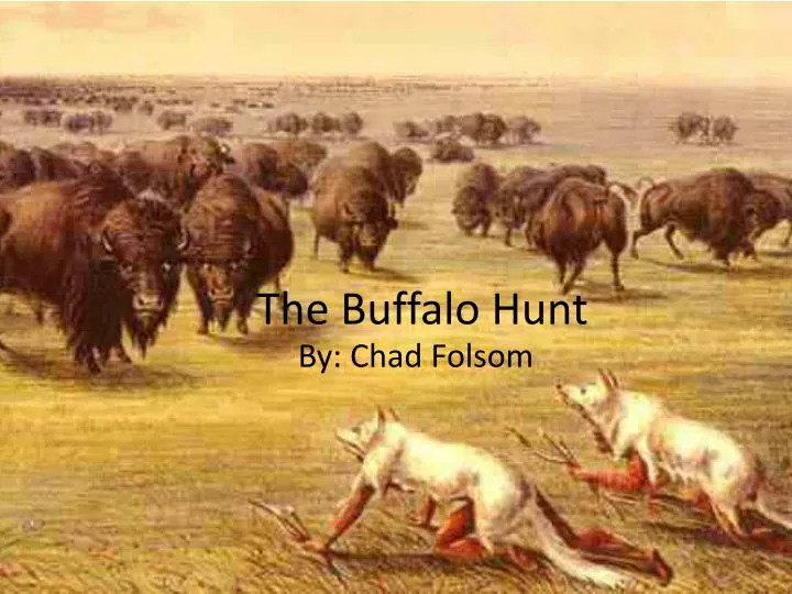 the buffalo hunt