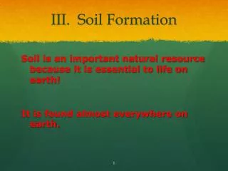 III. Soil Formation