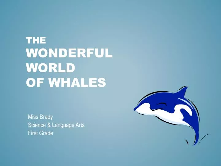 the wonderful world of whales