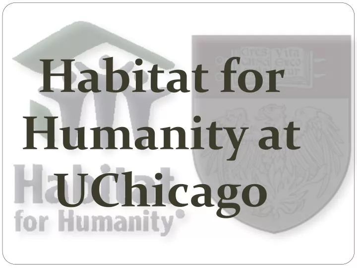 habitat for humanity at uchicago