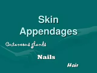 Skin Appendages
