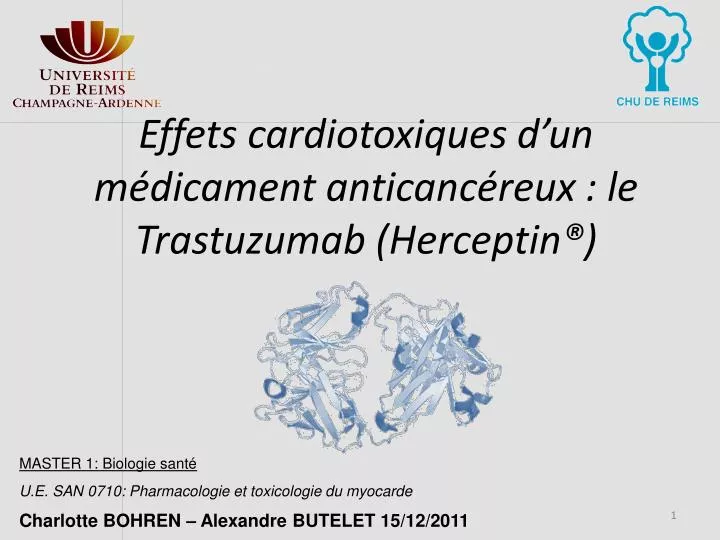 effets cardiotoxiques d un m dicament anticanc reux le trastuzumab herceptin