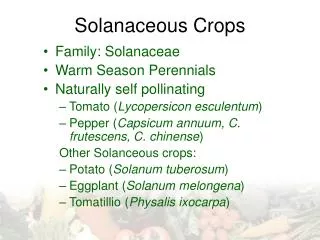 Solanaceous Crops