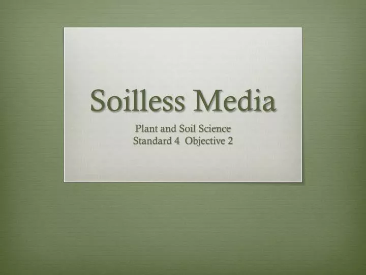 soilless media