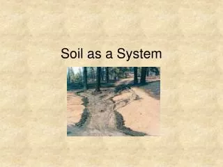Soil as a System