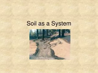 soil as a system