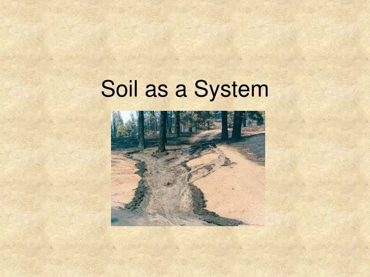 soil as a system
