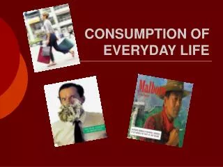 CONSUMPTION OF EVERYDAY LIFE