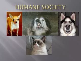 Humane society