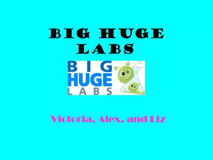 big huge labs