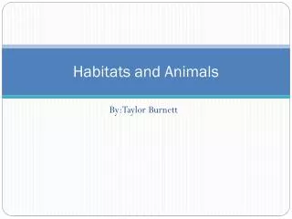 Habitats and Animals