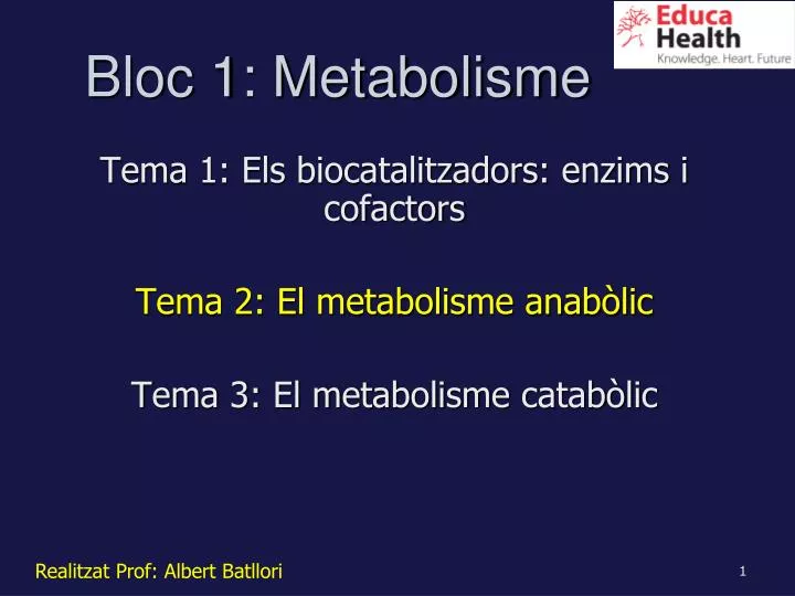 bloc 1 metabolisme