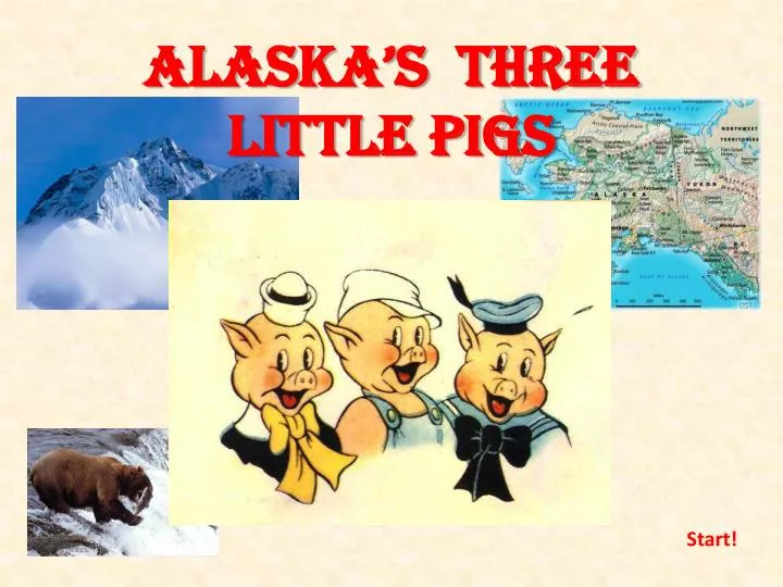 alaska s three little pigs