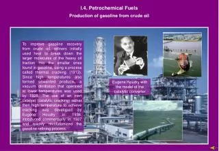 I.4. Petrochemical Fuels