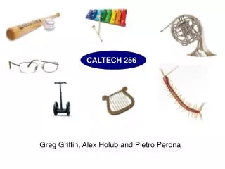 CALTECH 256