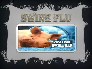 Swine flu